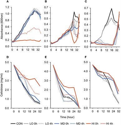 Polyclonal antibodies inhibit growth of key cellulolytic rumen bacterial species